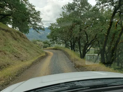 20190520_105836 (Large).jpg